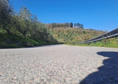 Castel Morleschio