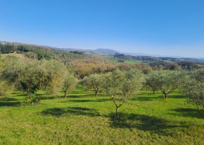 Castel Morleschio