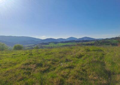 Castel Morleschio