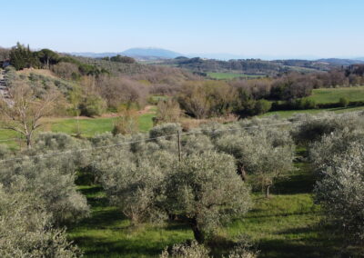 Castel Morleschio