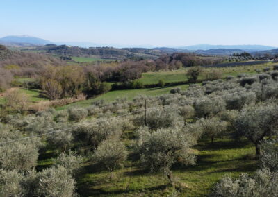 Castel Morleschio