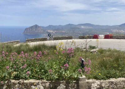Erice