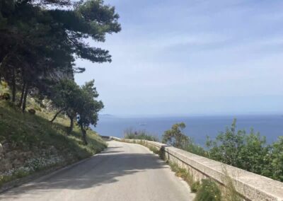 Erice