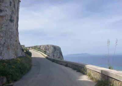 Erice